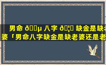 男命 🐵 八字 🦊 缺金是缺老婆「男命八字缺金是缺老婆还是老婆」